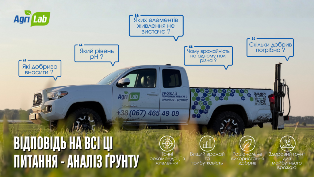 Comprehensive soil diagnostics: which fertilizers to apply and which nutrients are missing from the soil